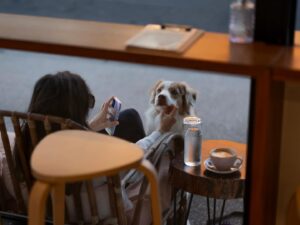 Slide Coffee House