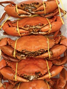 Seafood Market @ Caloundra