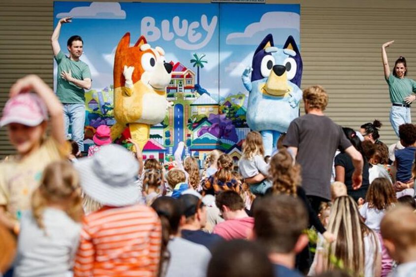 Picnic on Kings with Bluey – A Curated Plate Event
