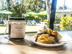 Freshly baked scones topped with cream and strawberry jam, served beside a jar of Pathways to Plate strawberry jam on a table overlooking a garden setting.